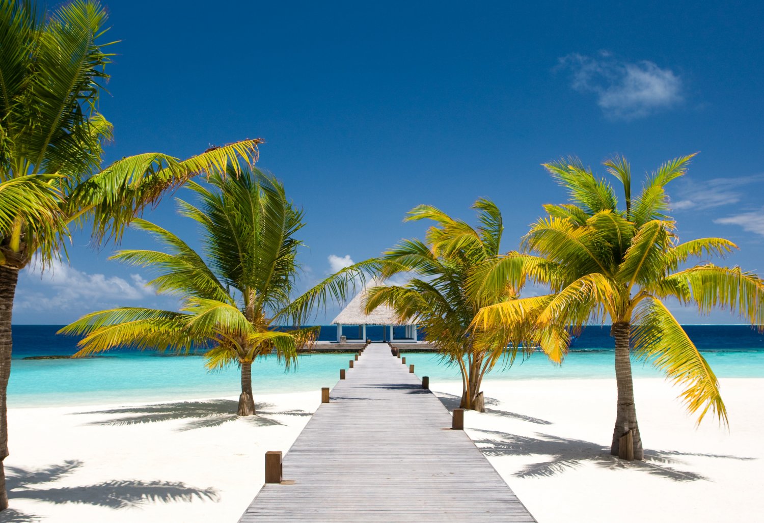 ponton donnant sur une plage  paradisiaque à l'île maurice