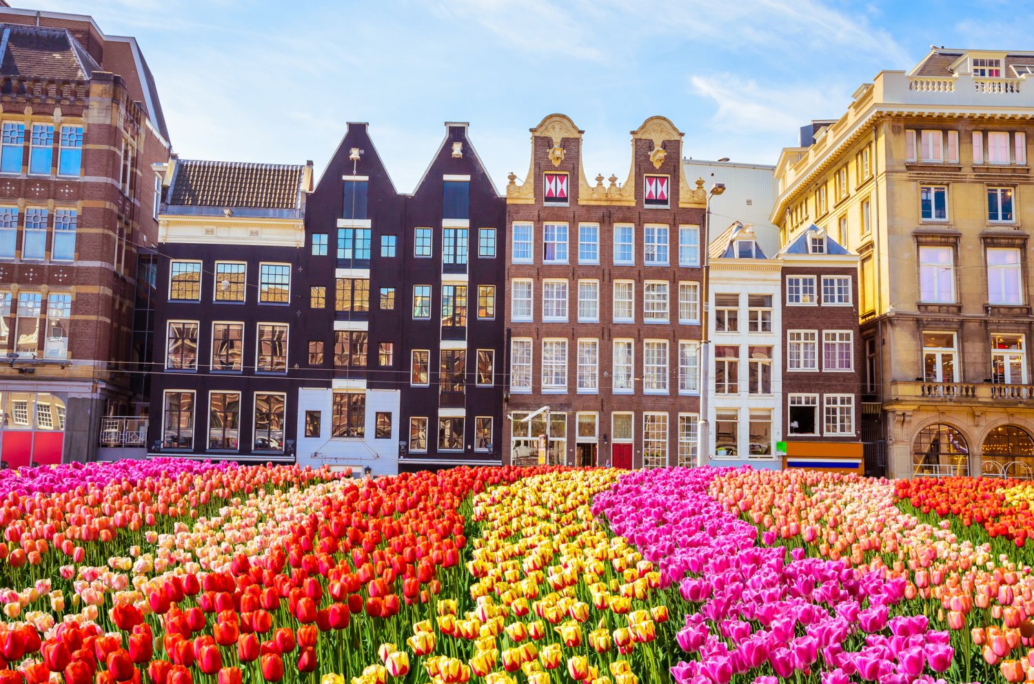 Week-end à Amsterdam à la saison des tulipes : 198 € transport + 3 nuits en