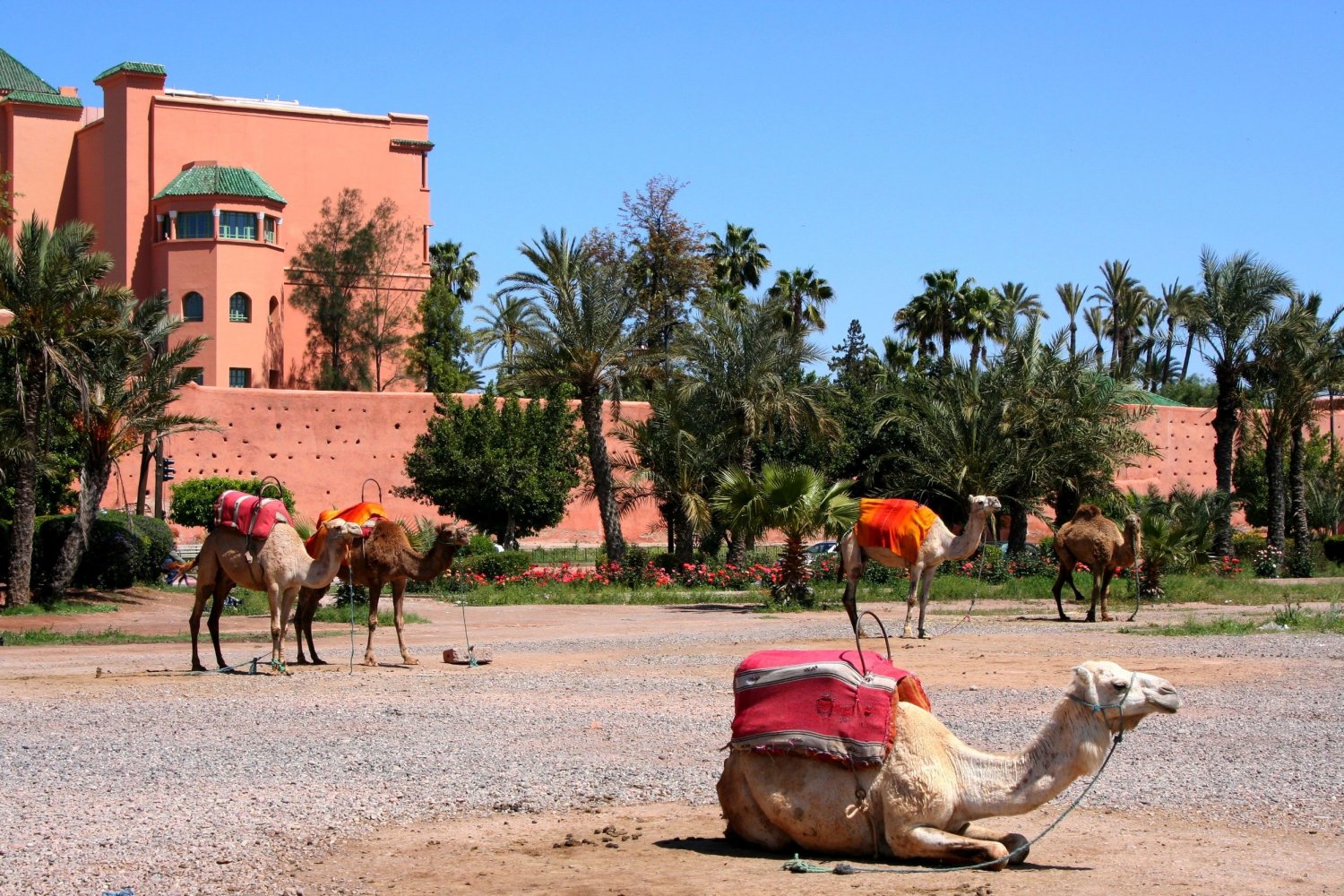 voyage hotel club marrakech